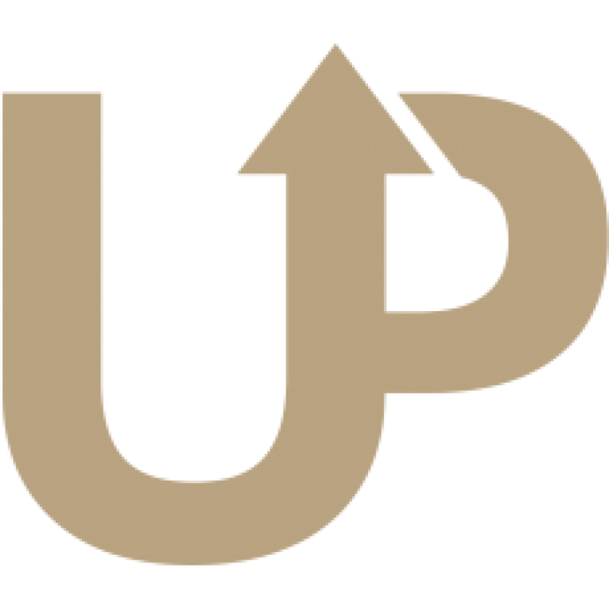 B2B Platform logo